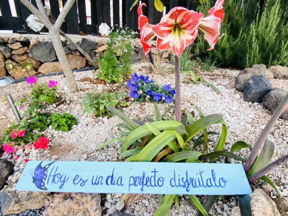 Lykke Suite Spa Sauna Piscina Y Jardin Buzanada Dış mekan fotoğraf